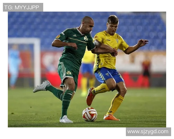 阿维斯与博阿维斯塔的精彩对决揭示葡超新格局与球队未来发展潜力